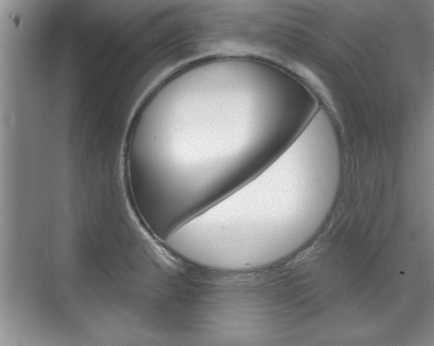 X0000073871183200608101059