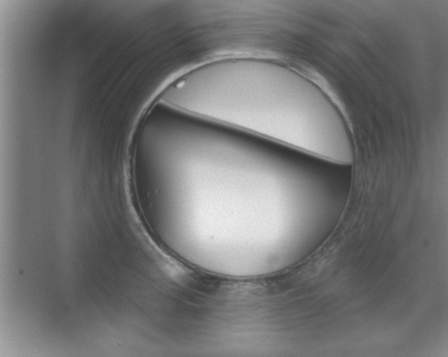 X0000073871187200608101059