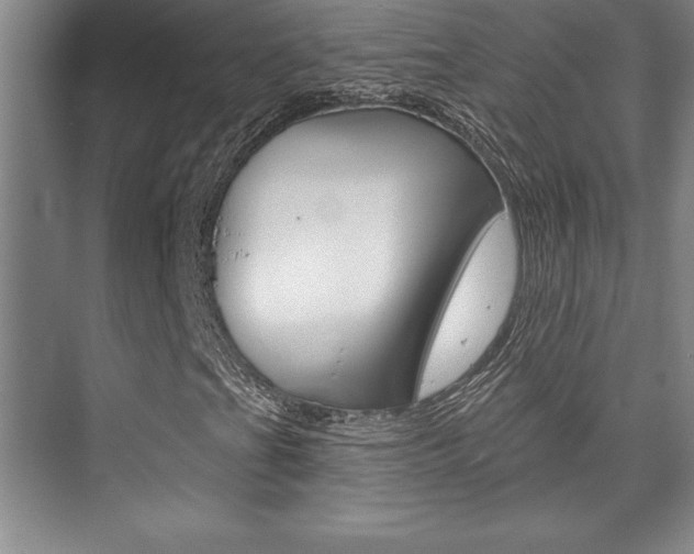 X0000073871201200608101058