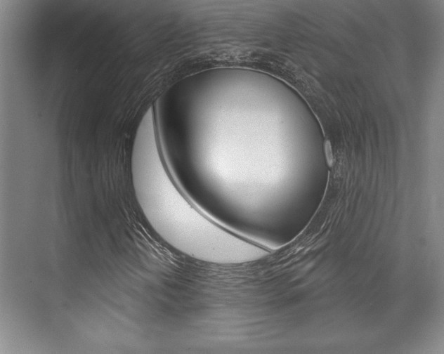 X0000073871202200608101058