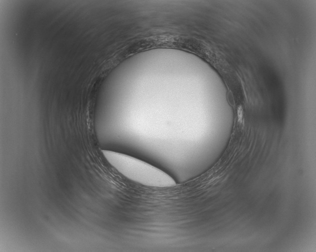 X0000073871203200608101058