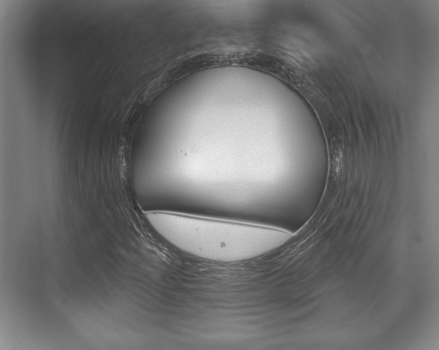 X0000073871204200608101058