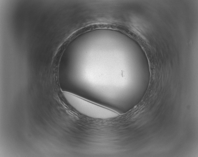 X0000073871208200608101058
