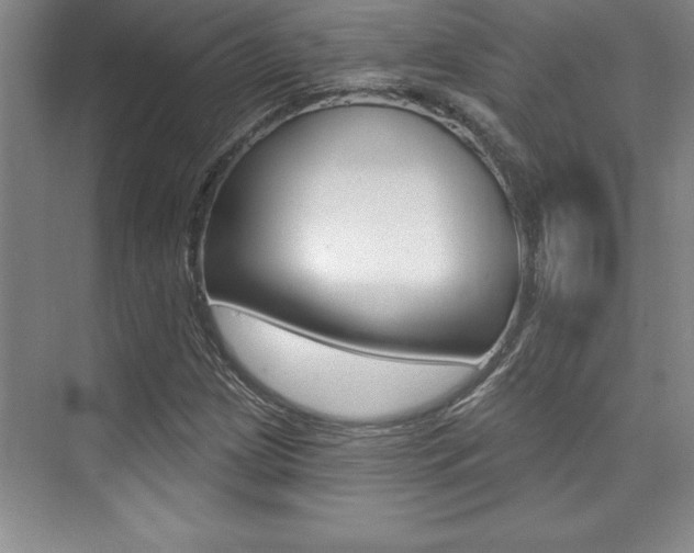 X0000073871209200608101058