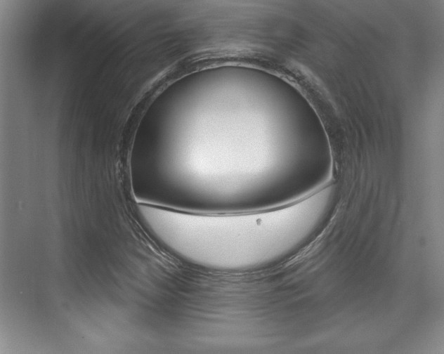 X0000073871210200608101058