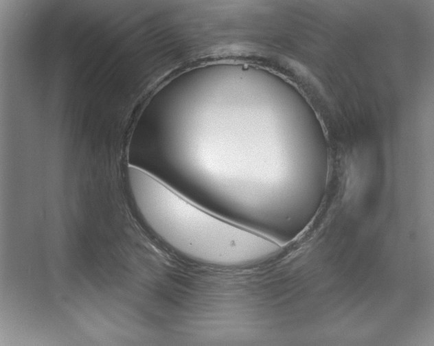 X0000073871217200608101058