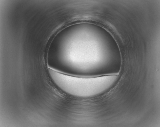 X0000073871218200608101058