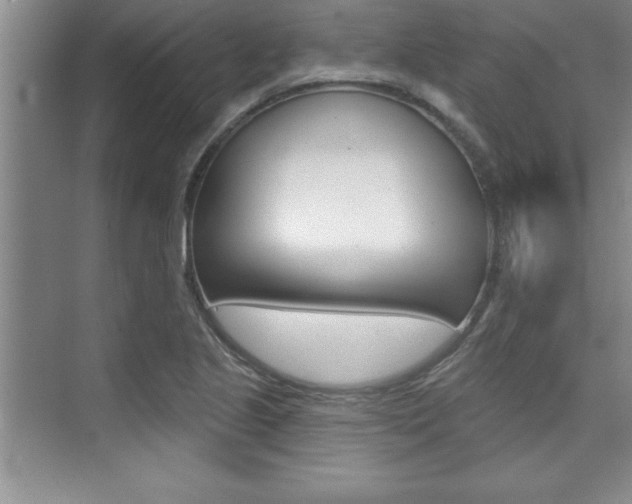 X0000073871221200608101058