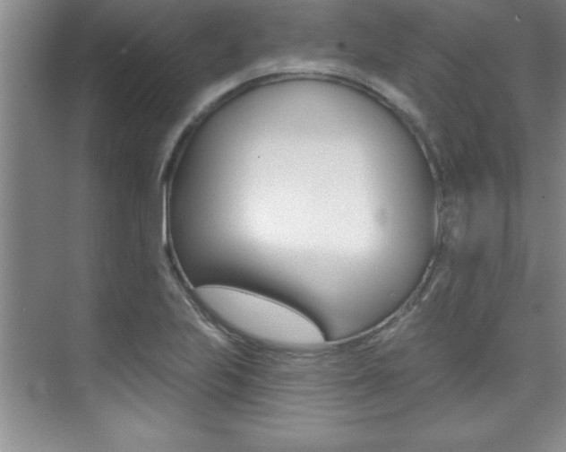 X0000073871223200608101058