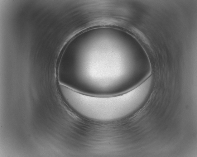 X0000073871226200608101058