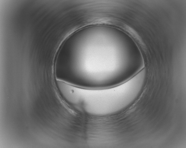 X0000073871234200608101058