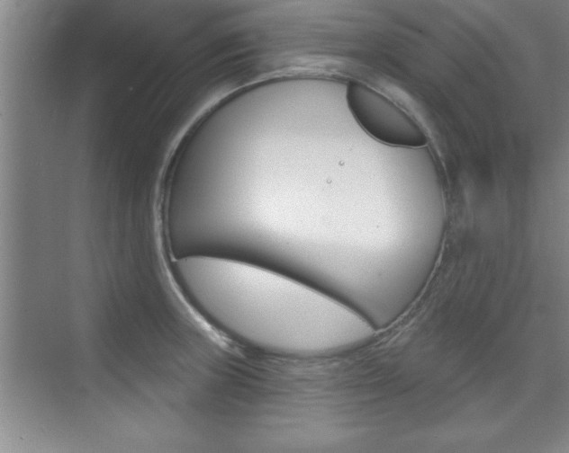 X0000073871235200608101058