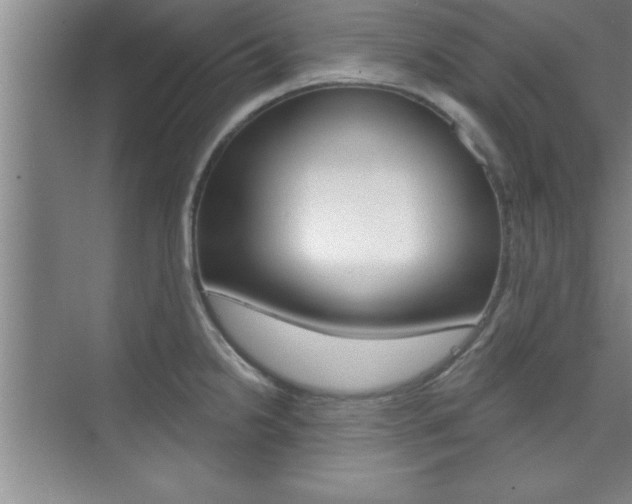 X0000073871238200608101058