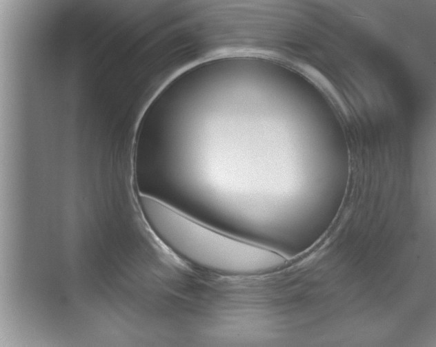 X0000073871244200608101058