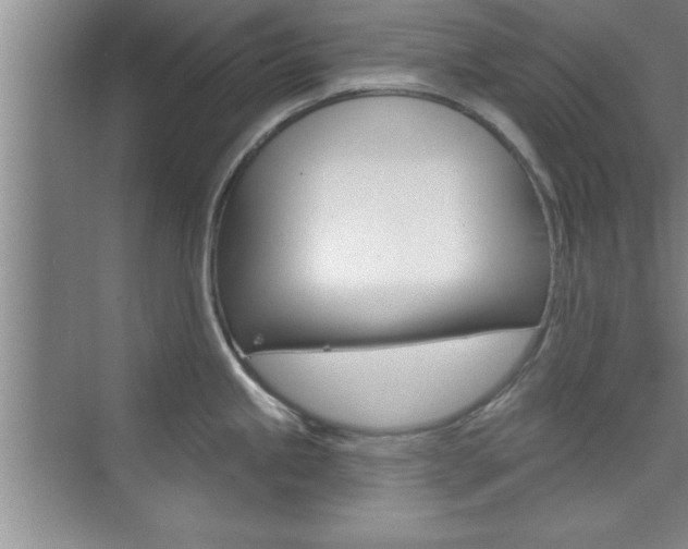 X0000073871245200608101058