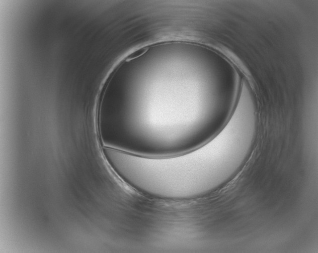 X0000073871246200608101058