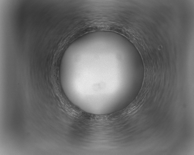 X0000073871249200608101058
