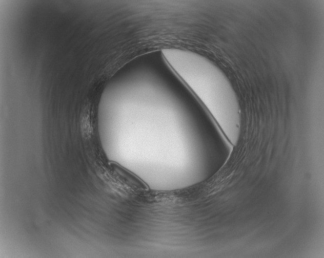 X0000073871250200608101058