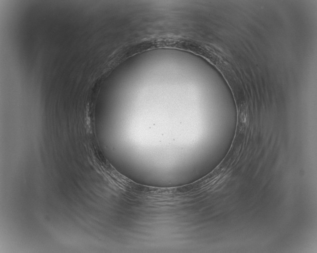 X0000073871252200608101058