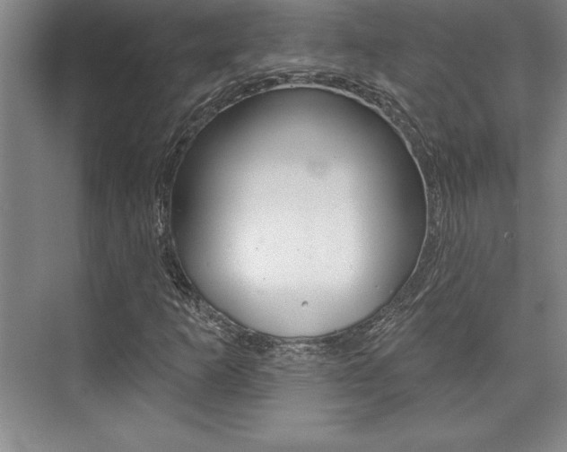 X0000073871253200608101058