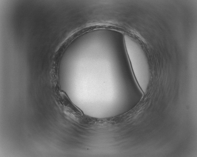 X0000073871256200608101058