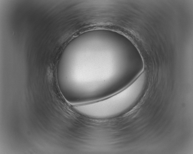 X0000073871257200608101058