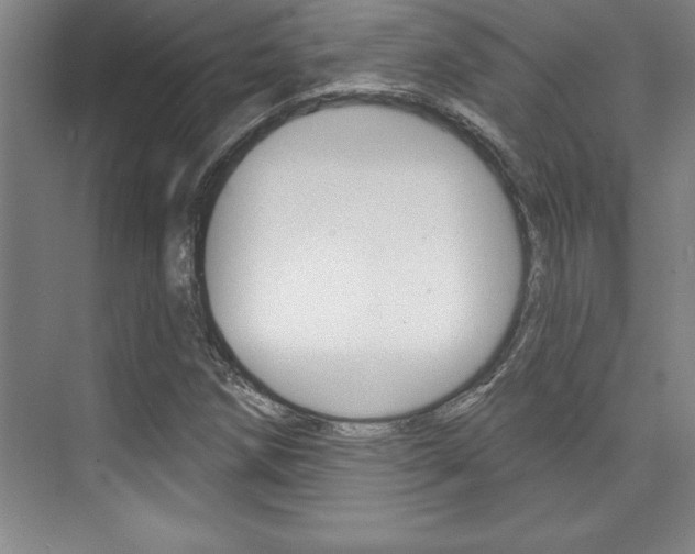 X0000073871258200608101058