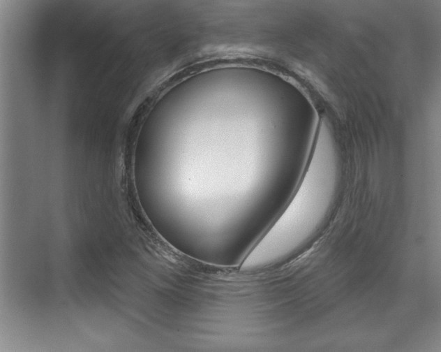 X0000073871261200608101058