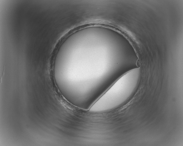 X0000073871264200608101057