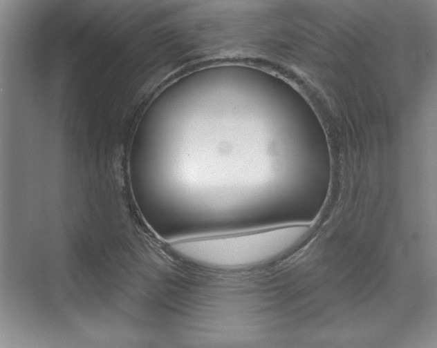 X0000073871265200608101057