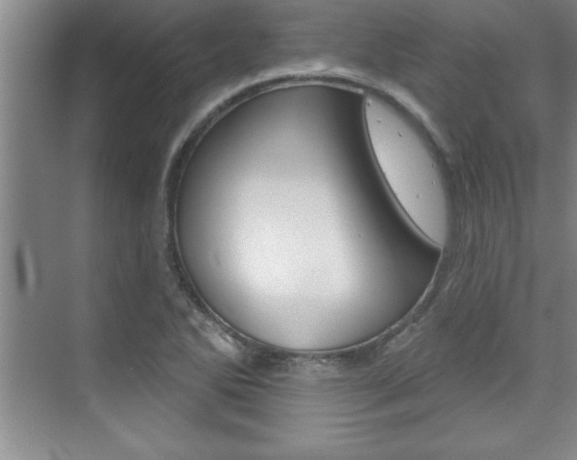 X0000073871270200608101057