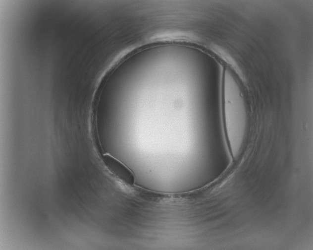 X0000073871277200608101057