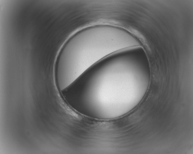 X0000073871280200608101057