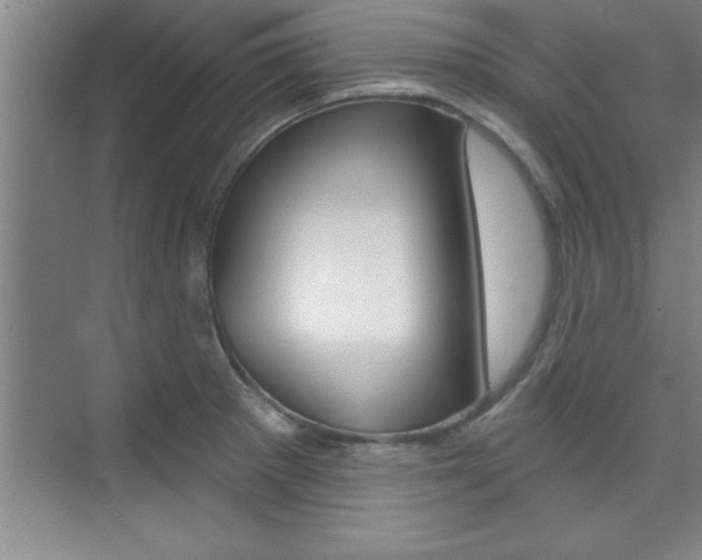X0000073871281200608101057