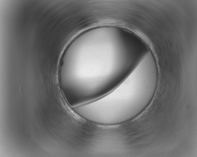 X0000073871296200608101057