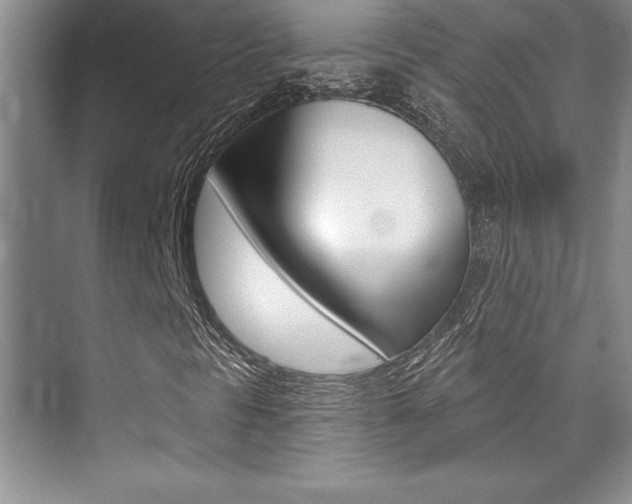 X0000073871297200608101056