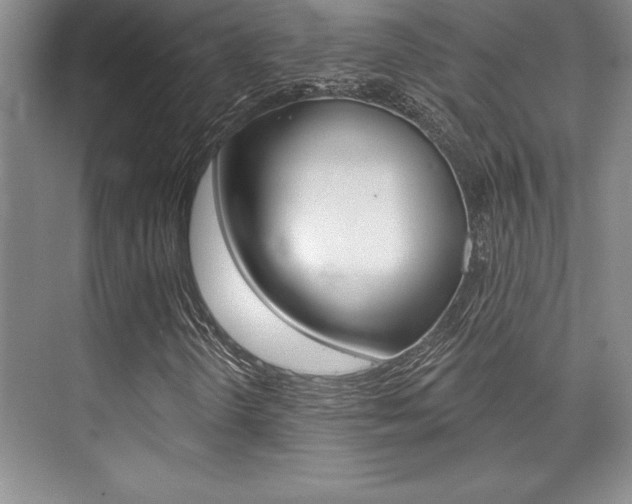 X0000073871298200608101056