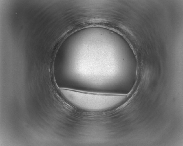 X0000073871305200608101056