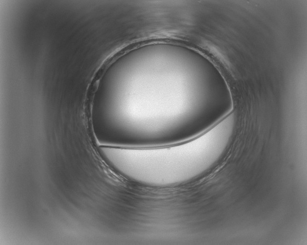 X0000073871308200608101056