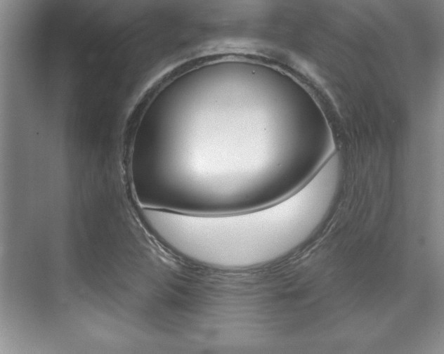 X0000073871312200608101056
