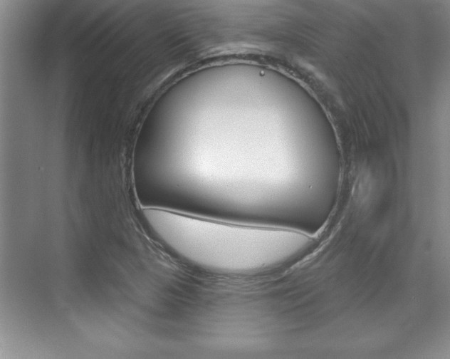 X0000073871313200608101056