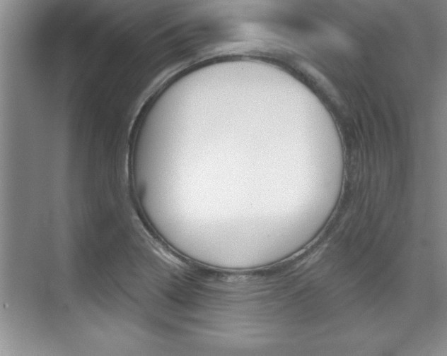 X0000073871322200608101057