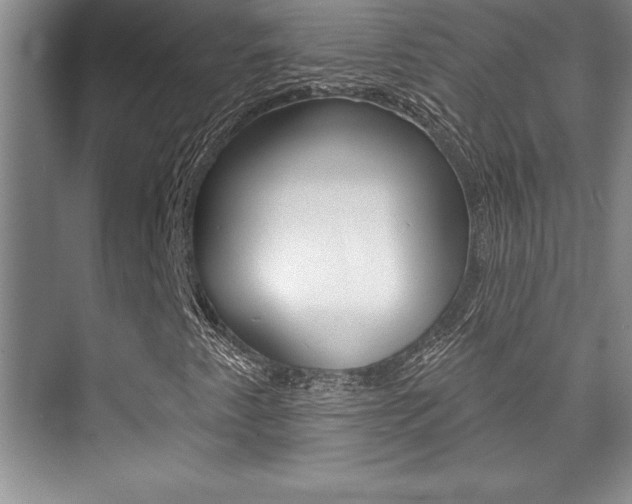 X0000073871345200608101056