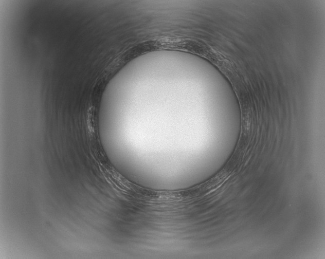 X0000073871346200608101056