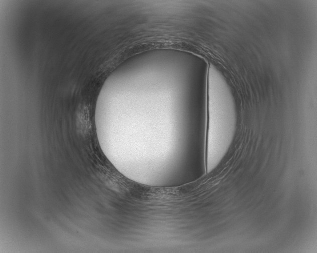 X0000073871347200608101056