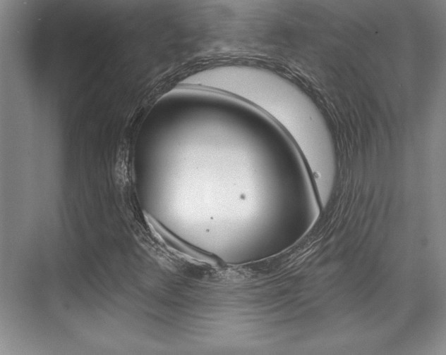 X0000073871348200608101056