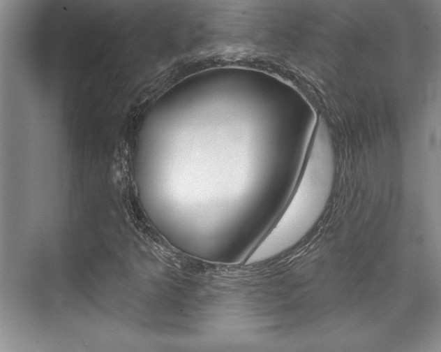 X0000073871349200608101056