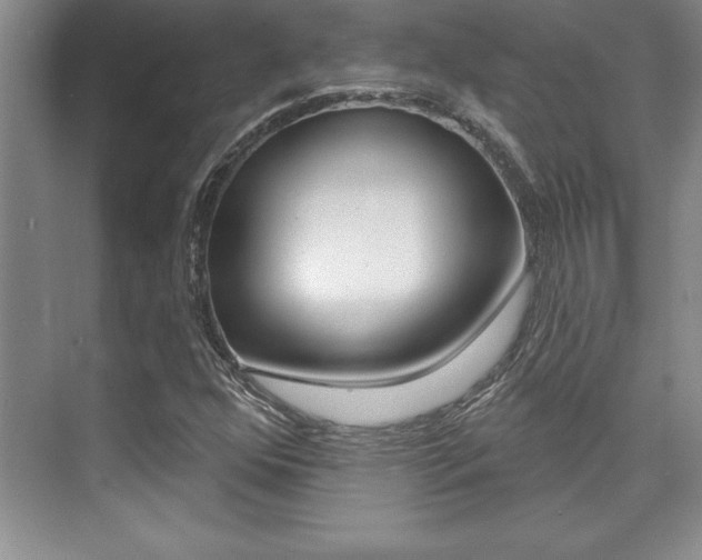 X0000073871352200608101056