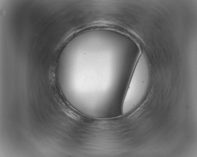 X0000073871355200608101056
