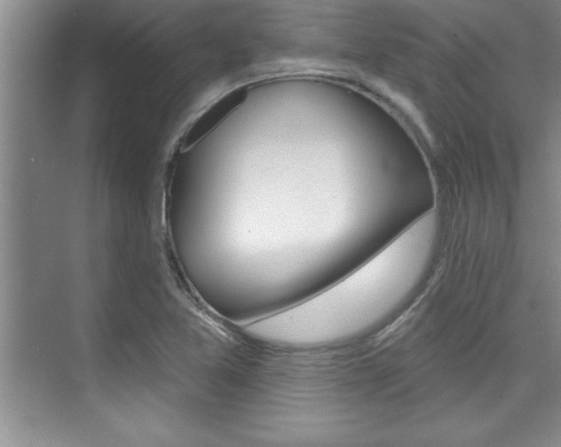 X0000073871365200608101056
